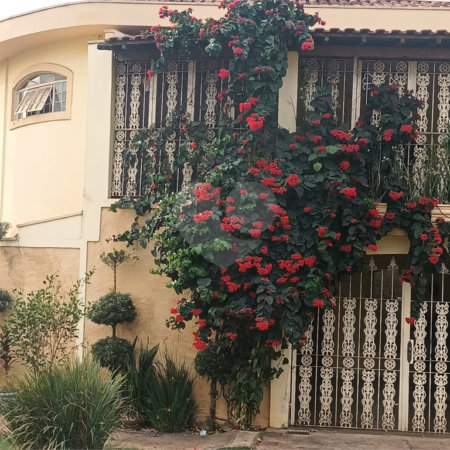 Linda casa em ótima localização!!