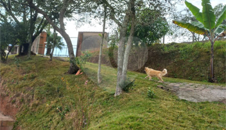 Chácara à venda com 3 quartos em Monterrey, Louveira, SP