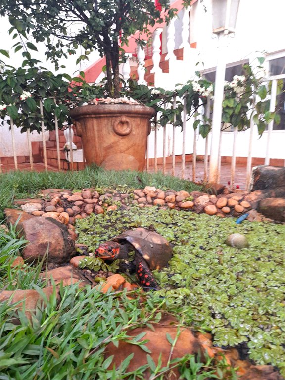 Casa com 4 dormitórios sendo 1 suíte a venda no bairro Samambaia