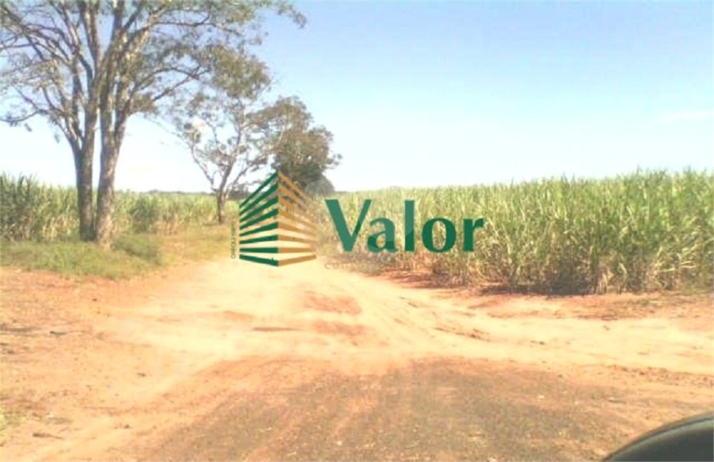 Sítio Estrada São Carlos Ribeirão - próximo São Carlos