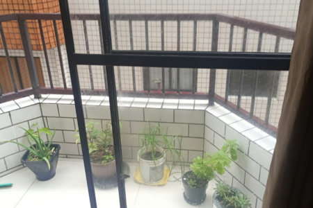 Apartamento à venda com 2 quartos em Ocian, Praia Grande - SP