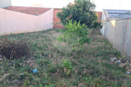 Terreno murado com portão e concertina no Jardim Embaré,