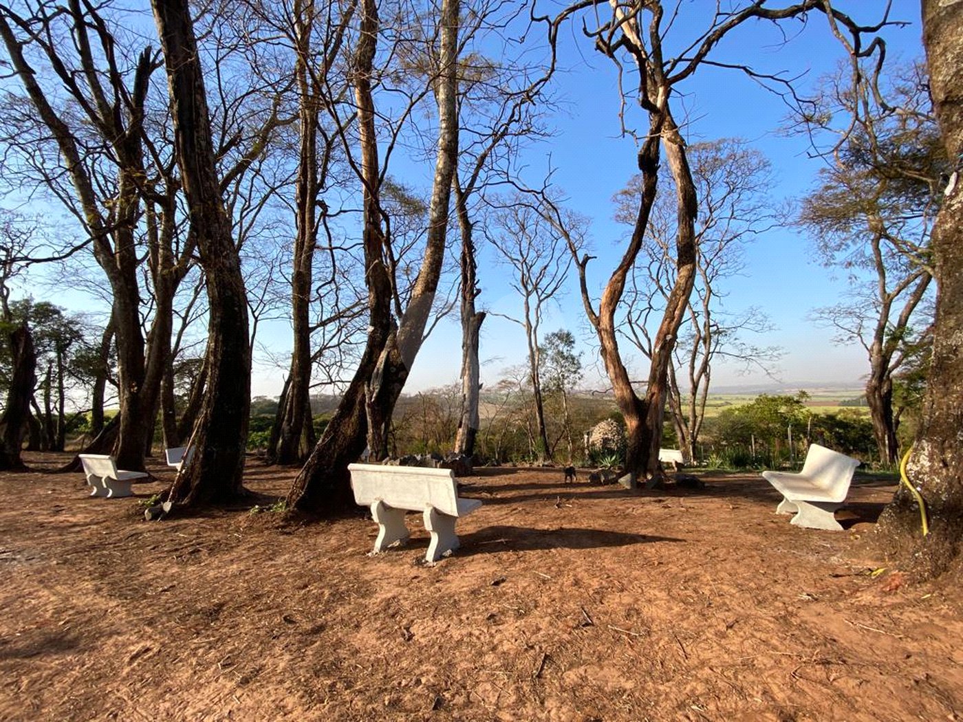 Sítio na cidade de Taiuva-SP.