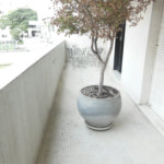 Apartamento no Bairro da consolação - Alto Padrão - 495m²
