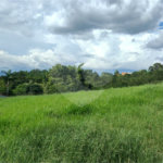 GLEBAS RURAIS EM PIRACAIA A PARTIR 20.000 M², EXCELENTE PARA CHÁCARAS E FAZENDINHAS