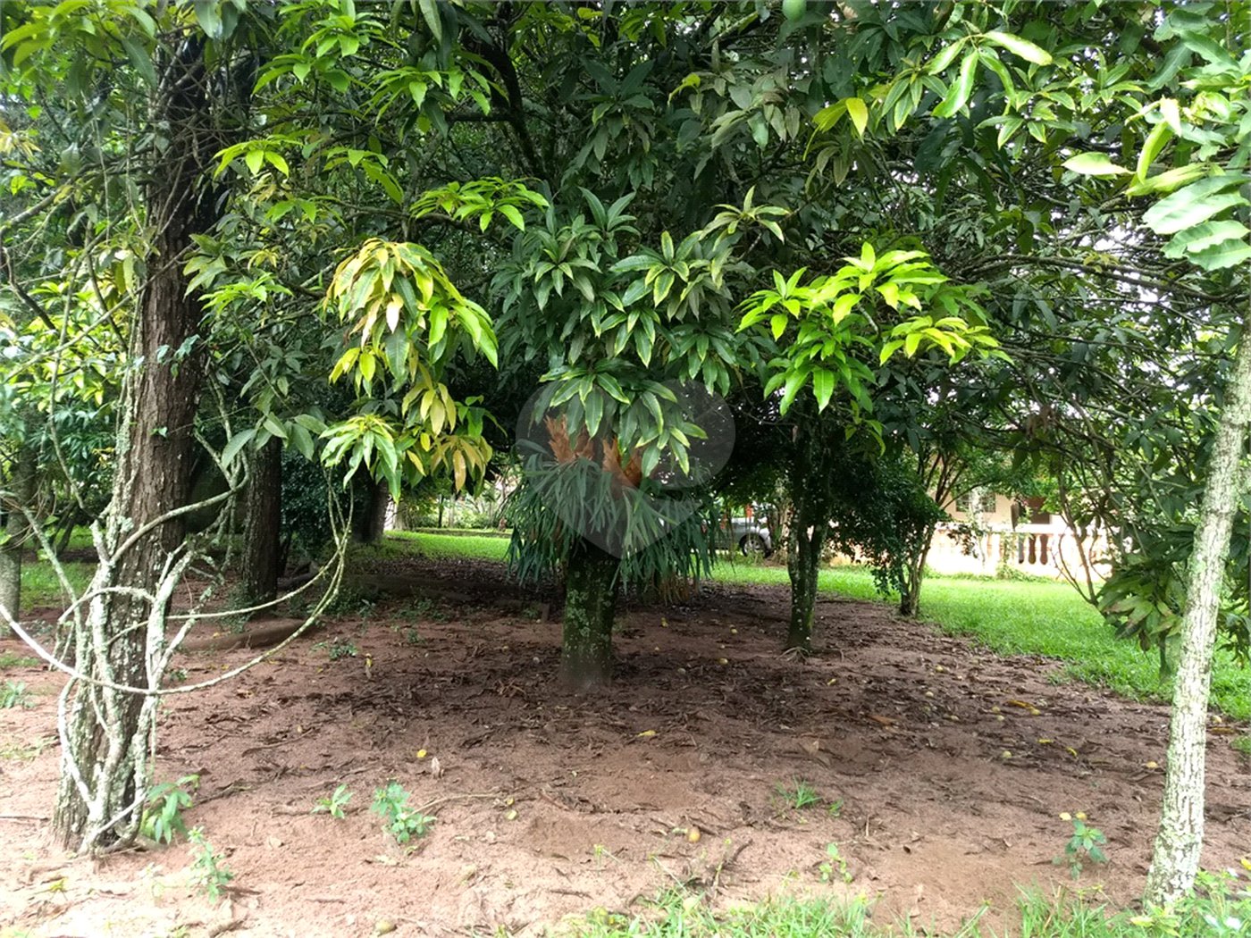 Chácara a venda no Residencial Planalto Serra Verde em Itirapina