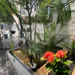 SOBRADO À VENDA 3 QUARTOS 3 VAGAS BOSQUE DA SAÚDE SÃO PAULO