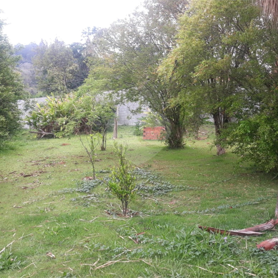 TERRENO PLANO COMERCIAL - 1.250 M2