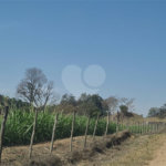 VENDA SÍTIO 48 hectares com estruura para granja, hidroponia e gado