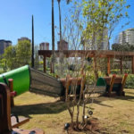 Apartamento com 3 quartos para alugar no Condomínio Cumaru, Jardim Marajoara São Paulo - SP