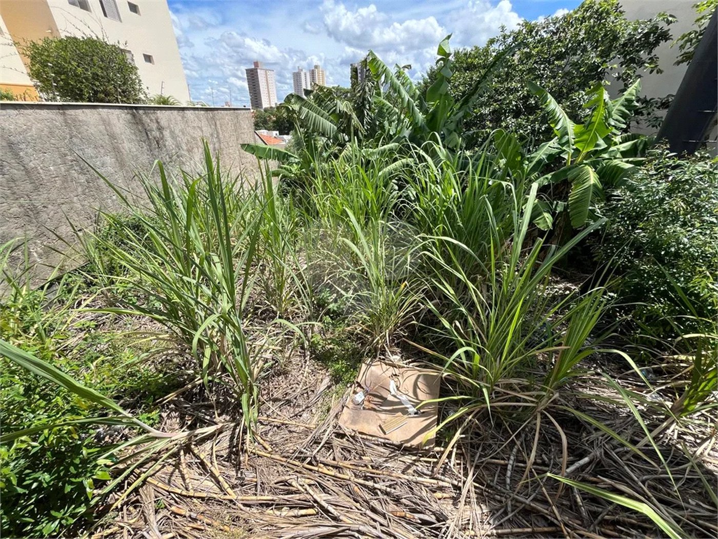 Terreno com vocação variada na Vila Monteiro em Piracicaba