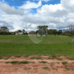 Loteamento Residencial no Condomínio Vila Pinhal do Broa