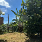 Excelente oportunidade no condomínio Vale das Laranjeiras, em Indaiatuba/SP. - R$ 1.850.000,00 - Terreno de 3.000 m²), com frente de 50 metros, proporcionando diversas possibilidades de projeto. O lote possui ótima localização dentro do condomínio, rodeado de natureza e com fácil acesso