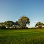 O Reserva Itanhangá nasce com um paisagismo exuberante e já formado, onde o replantio manterá a sensação, a paisagem e a estética que a propriedade proporciona atualmente. O empreendimento está em uma ótima localização, com acesso através de uma ampla avenida, junto ao Helvetia e seus campos de polo