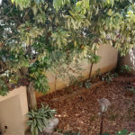 SOBRADO JARDIM VIRGINIA BIANCA