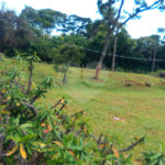Terreno em Água Vermelha