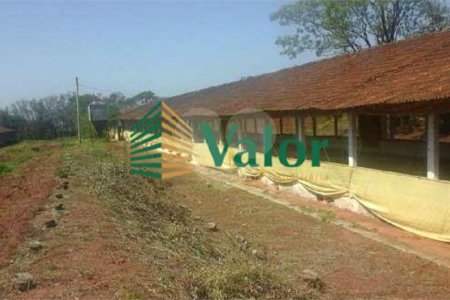 Sítio Estrada São Carlos Ribeirão - próximo São Carlos