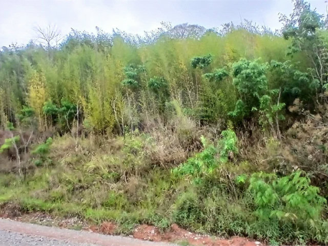 Terreno à venda em Luiz Fagundes, Mairiporã, SP