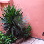 Casa à venda na Vila Carrão, 3 quartos (1 suíte)
