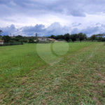 Loteamento Residencial no Condomínio Vila Pinhal do Broa.