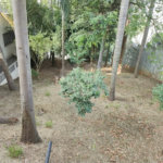 Locação Cobertura Santa Teresinha atras do Colegio Salesiano