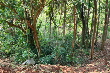 TERRENO DE 500 M² EM ATIBAIA PRONTO PARA CONSTRUIR, AVALIA PERMUTA COM CARRO