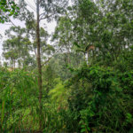 Terreno à venda em Morumbi, São Paulo, SP
