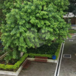 Apto 69 mt - 02 dormitorios - Sala - Cozinha 02 wcs -