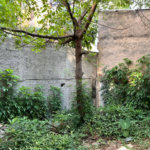 Terreno ideal para construção de prédio na Casa Verde
