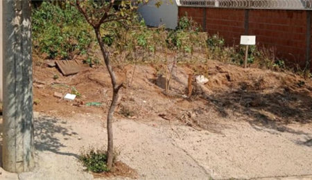 Terreno à venda em Parque dos Flamboyant, São Carlos, SP