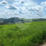 GLEBAS RURAIS EM PIRACAIA A PARTIR 20.000 M², EXCELENTE PARA CHÁCARAS E FAZENDINHAS