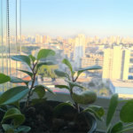 APARTAMENTO A VENDA EM SP BELÉM