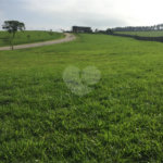 TERRENO À VENDA NO CONDOMÍNIO FAZENDA DONA CAROLINA - ITATIBA/SP
