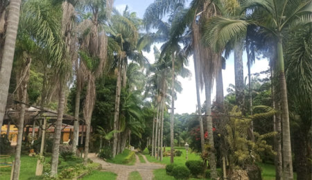 Sítio à venda com 9 quartos, sendo 5 suítes,  em Portão, Atibaia, SP