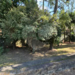 Casa com Piscina, Sauna e Edícula em Rua Arborizada no Tremembé