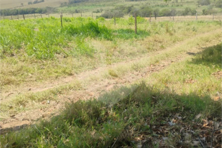 Excelente Sítio à Venda em Monte Mor – SP