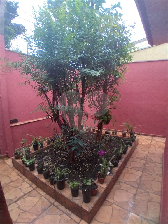 Casa + salão comercial na Vila Vista Alegre