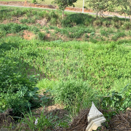 Terreno de 1.150m² no Jardim Gardênia Ideal para Casa de Campo em Atibaia