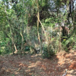TERRENO DE 500 M² EM ATIBAIA PRONTO PARA CONSTRUIR, AVALIA PERMUTA COM CARRO