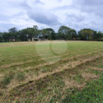 Loteamento Residencial em Condomínio