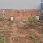 Terreno a venda no Jardim Munique