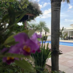 Excepcional Casa de 4 Suítes no Condomínio Monte Alegre em Piracicaba