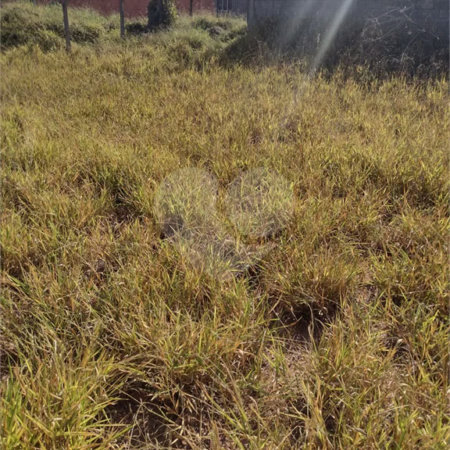 Terreno no Bairro Monterrey