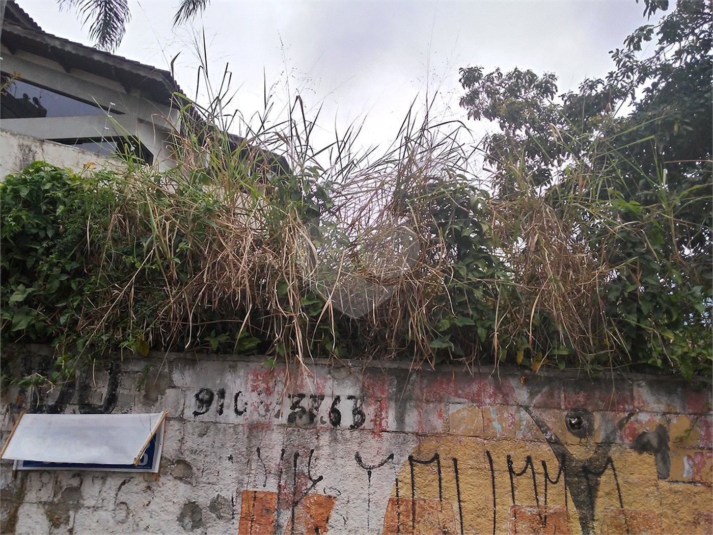 Terreno Barro Branco