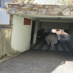 Casa à venda com 3 suítes em Jardim Bonfiglioli, São Paulo, SP