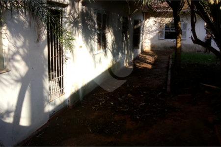 Terreno