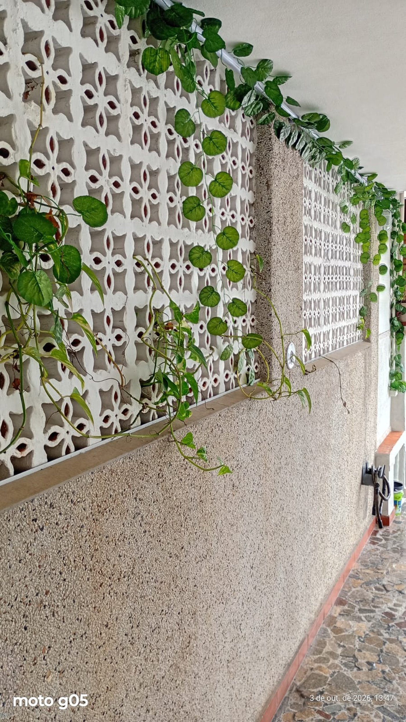 🏡 LINDÍSSIMA CASA DE 3 DORMITÓRIOS NO JARDIM REAL