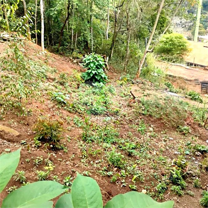 Excelente terreno à venda com 2950 m²