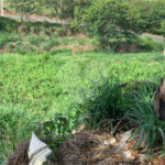 Terreno de 1.150m² no Jardim Gardênia Ideal para Casa de Campo em Atibaia