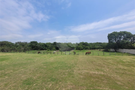 Sítio à Venda – 76.000m² com 5 casas de aluguel | Chácara Instância dos Reis – Monte Mor/SP
